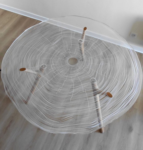 Image 1 of Table de repas Collection PLEXIWOOD – Chêne - rochebobois Paris