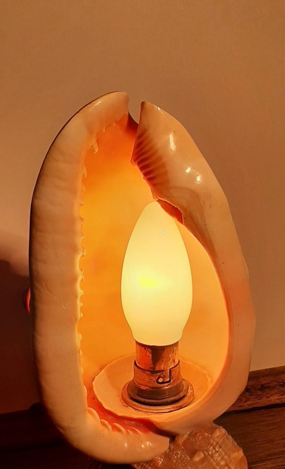 Image 1 of Cameo shell shade. Schelp tafellamp  jaren 20/30