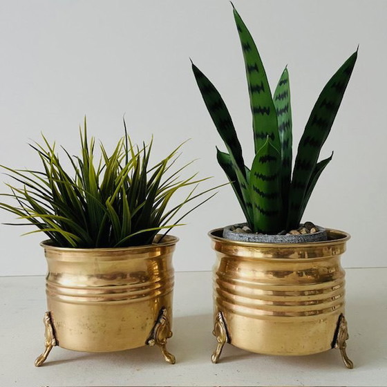 Image 1 of Set vintage di vasi da fiori in ottone e oro con zampe di leone, anni '50