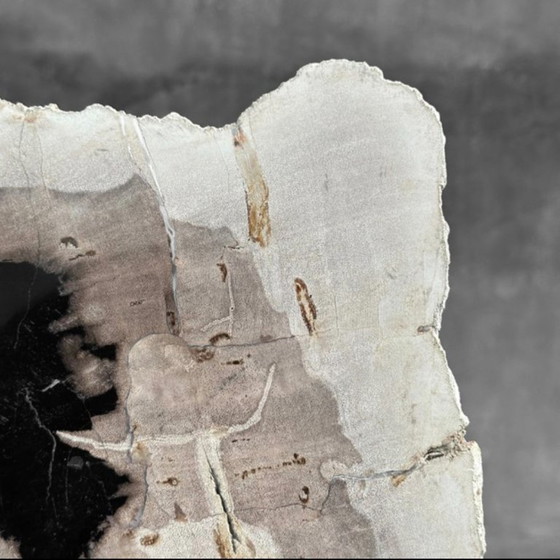 Image 1 of Madera fosilizada de Sooka, soporte hecho a medida (nuevo)