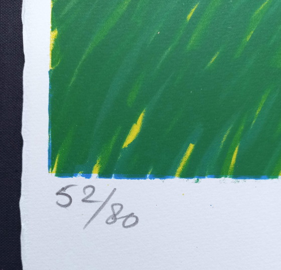 Image 1 of Jan Cremer - Contadina olandese n. 1, litografia