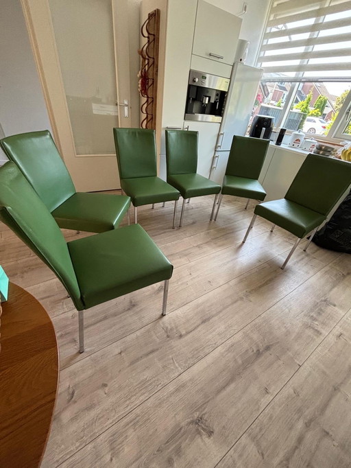 6 ROLF BENZ dining chairs