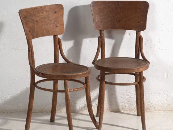 Pair of antique bentwood chairs in the Thonet style – Central Europe, circa 1920 – Dining chairs, Bauhaus (photo 2 of 40)