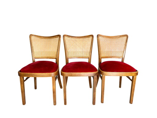 Original Set de 3 Chaises Thonet A811/1 Josef Hoffmann 1951 Rembourrées