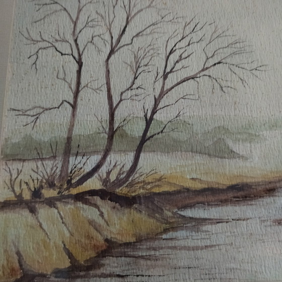 Image 1 of Acquerello