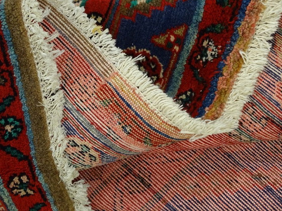 Image 1 of Koliai - 290 x 147 cm - Wool on cotton - Hand-knotted