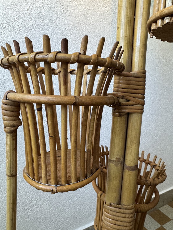 Image 1 of Lámpara de pie con soporte para plantas de ratán de los años 50