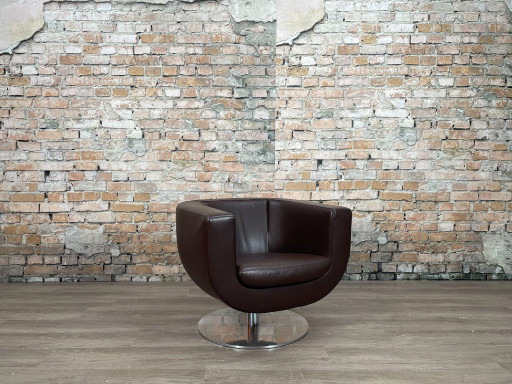 B&B Italia Tulip Armchair - braun | Jeffrey Bernett