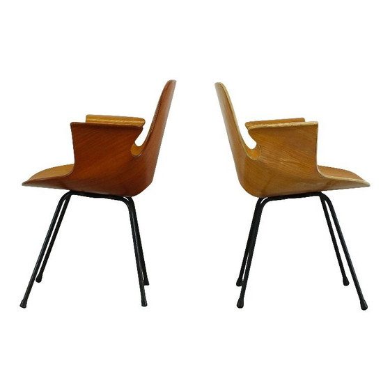 Image 1 of sedia con braccioli in legno curvato di faggio "medea" di vittorio nobili per fratelli tagliabue, italia, 1956