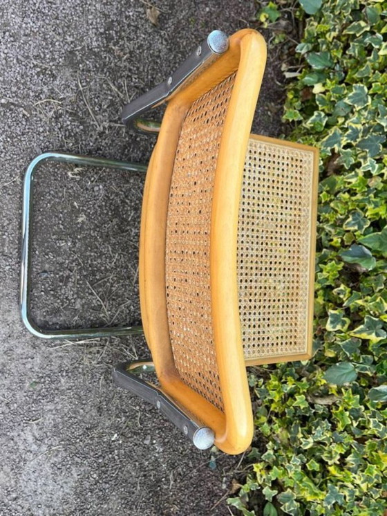 Image 1 of sedia in canna