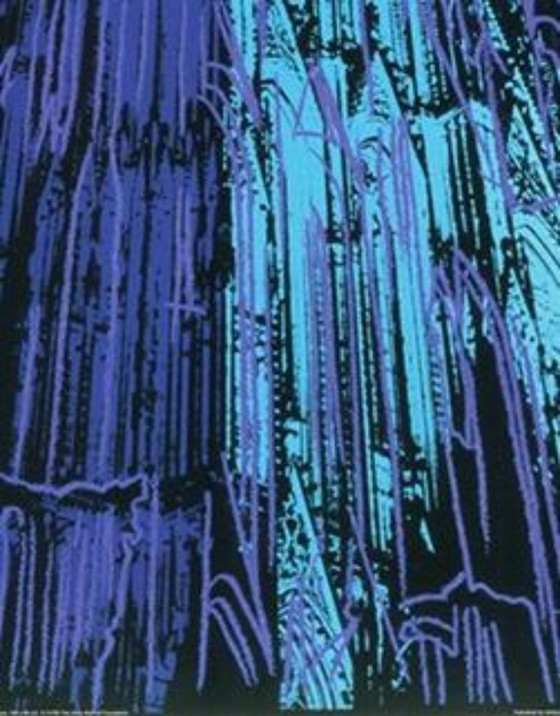Image 1 of Andy Warhol – Cathédrale de Cologne (Bleu) | Estampe Pop Art Après 1985