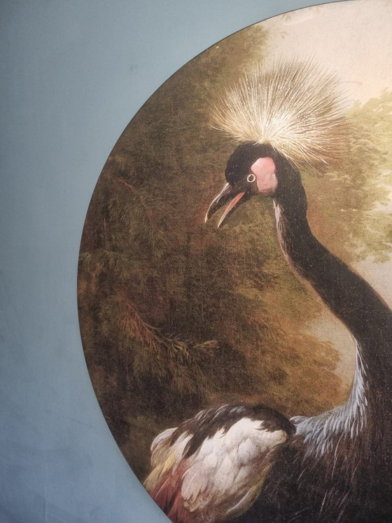 Image 1 of Wall Masters Round 150 Samt