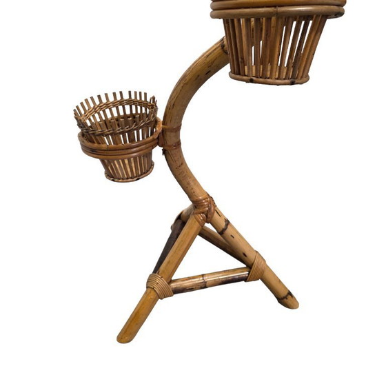 Image 1 of Etagere con pianta in rattan vintage