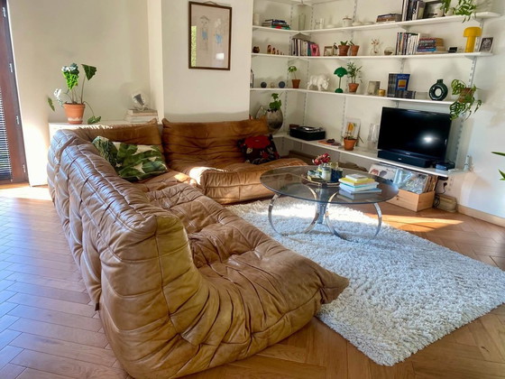 Autentico Divano Togo - Pelle Cognac – Ligne Roset, Divani modulari (photo 2 of 11)