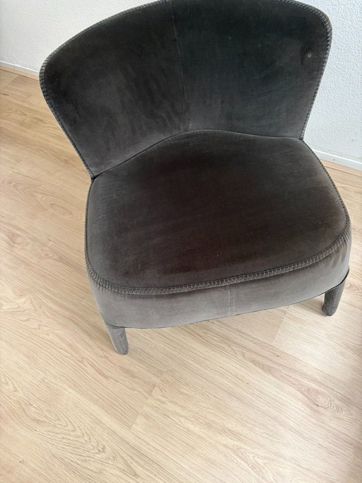 Maxalto Febo Armchair – fauteuils, Metal, Velvet (photo 2 of 7)