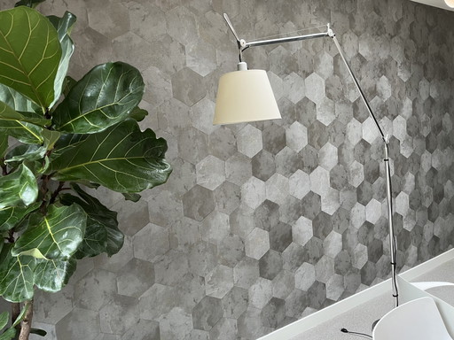 Artemide Tolomeo Mega Floor Lamp
