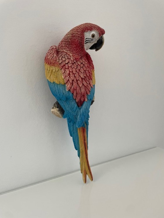Image 1 of Wall sculpture red macaw parrot colorful design