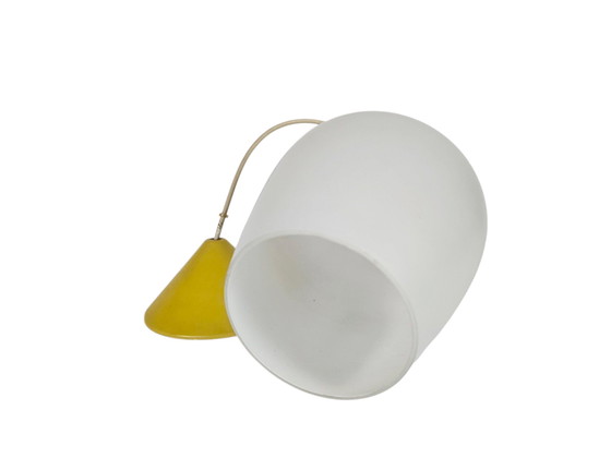 Image 1 of Diseño holandés - Philips - Louis Kalff - Lámpara de cáliz - vidrio satinado - años 50