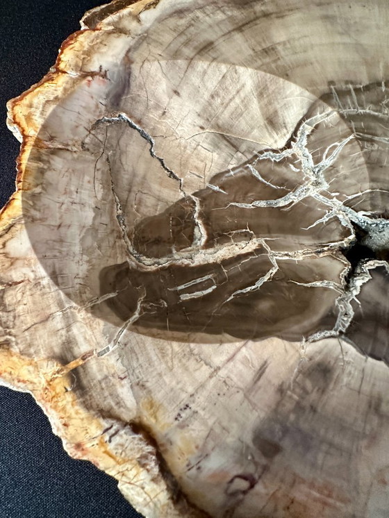 Image 1 of VIDE POCHE VINTAGE XXL 70