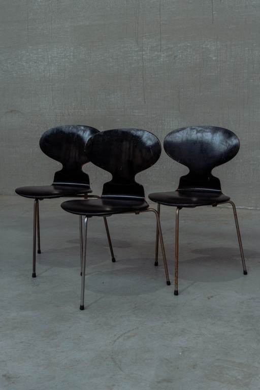 Early editions ant chairs Arne jacobsen By fritz hansen Upholster with black leather seats