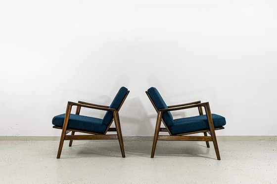 Image 1 of Fauteuil moderne du milieu du siècle par Sfm, Pologne, années 1960