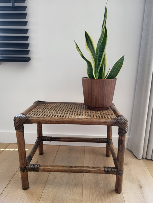 Rattan side table or plant table