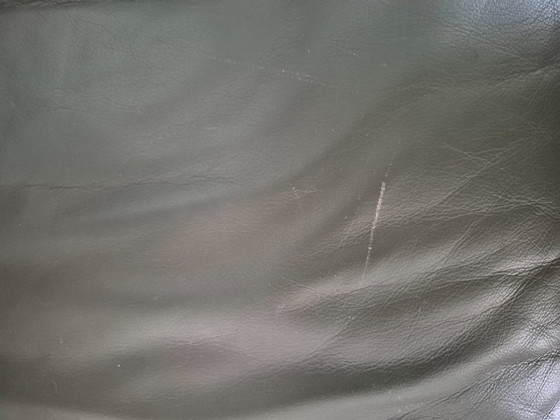 Divano in pelle grigio/verde Leolux – Divani (photo 7 of 8)