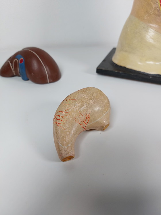 Image 1 of Vecchio modello anatomico didattico, gesso Phywe, torso anni '40