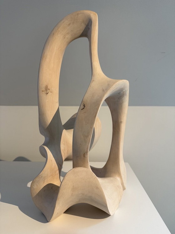 Image 1 of LA VAGUE - 2014 - NORBERT BAUWENS