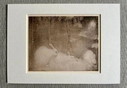 Jan Mankes 1889-1920 / Originele Heliogravure Konijntjes in Herfstbos 1923