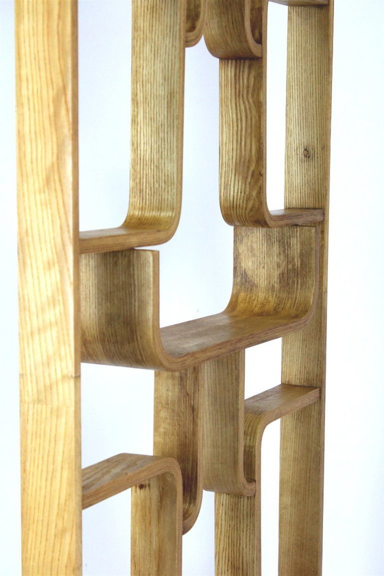 Image 1 of Mid-Century Modern Room Divider by Ludvik Volak for Drevopodnik Holesov, 1960s