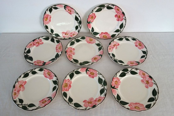 8 Villeroy & Boch „Wild Rose“ Speiseteller, 1970 – Geschirr, Ceramic (photo 2 of 8)