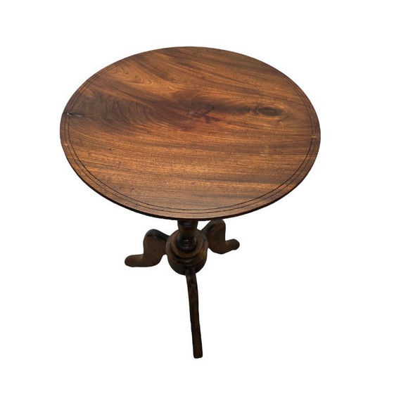 Image 1 of Table à plantes française ancienne sur trépied, seconde moitié du XIXe siècle