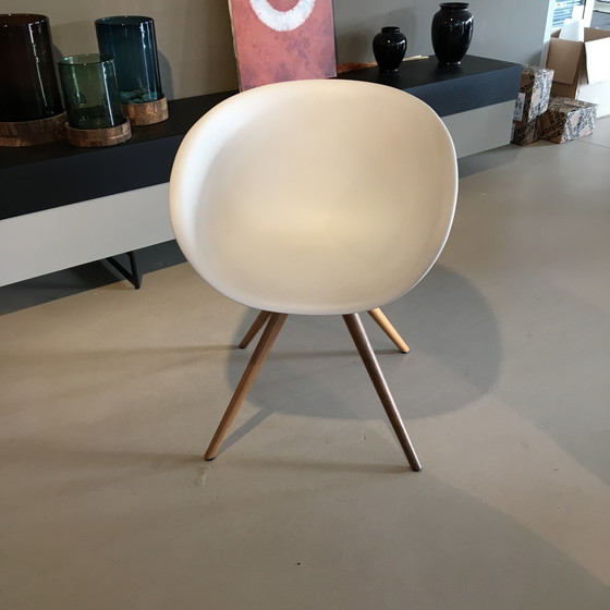 Image 1 of Sedia da pranzo Tonon Structure