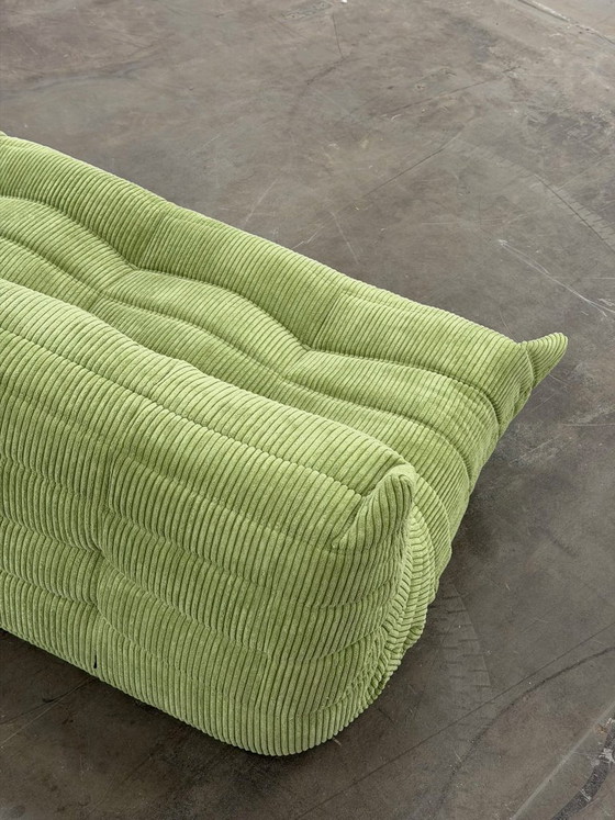 Image 1 of Linea Togo Rosette | Velluto a coste |
