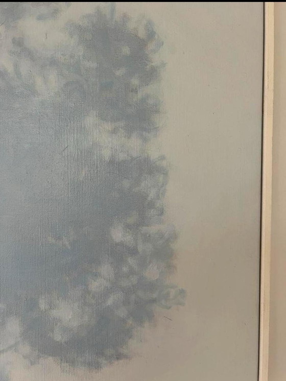 Image 1 of Albero nella nebbia di Tobia Spierenburg