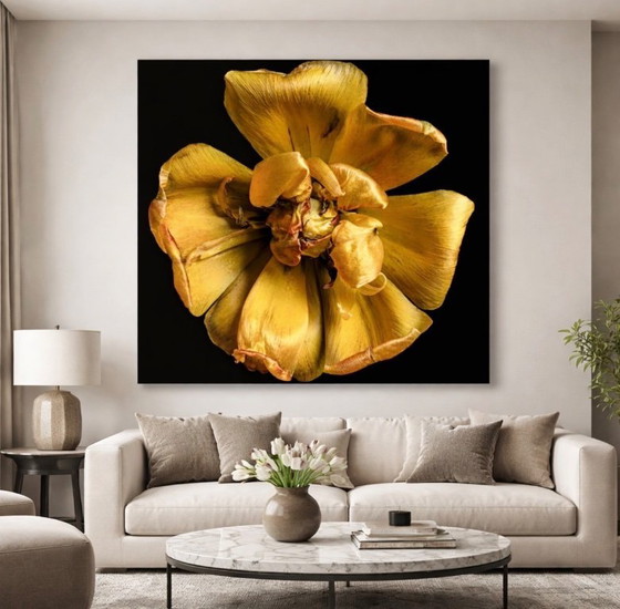 Image 1 of Fleur dorée sur fond noir, impression d'art sur aluminium