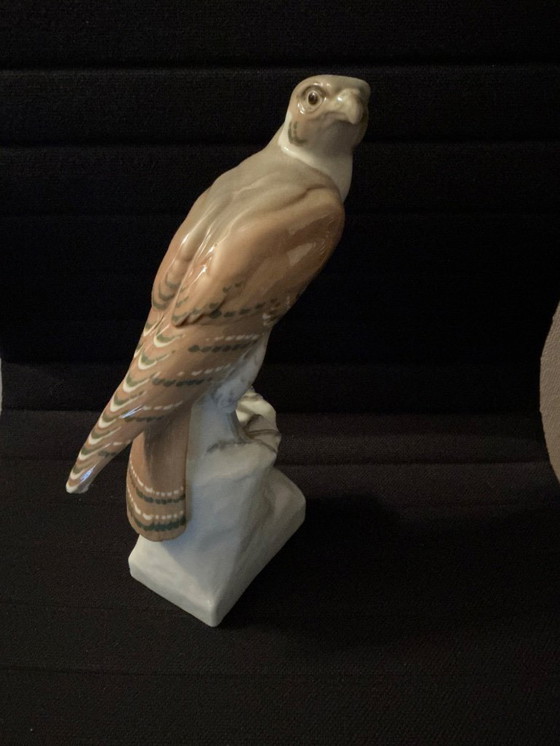 Image 1 of Very beautiful Falcon '