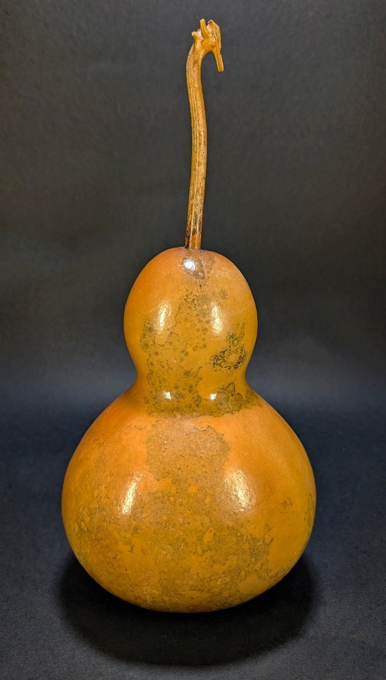 Große, antike, getrocknete Kalebasse – Dekorative Objekte, Wood, Other (photo 3 of 6)