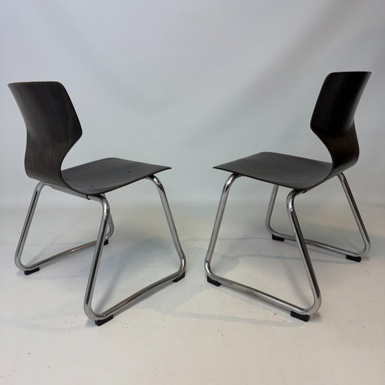 Image 1 of 4 seggioloni Pagholz Flötotto