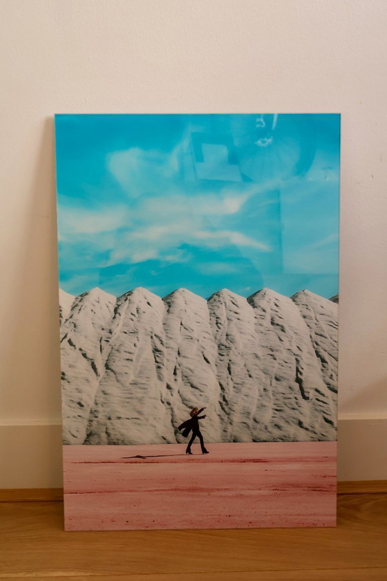 Image 1 of Sanja Marusic - Fleurs en décembre