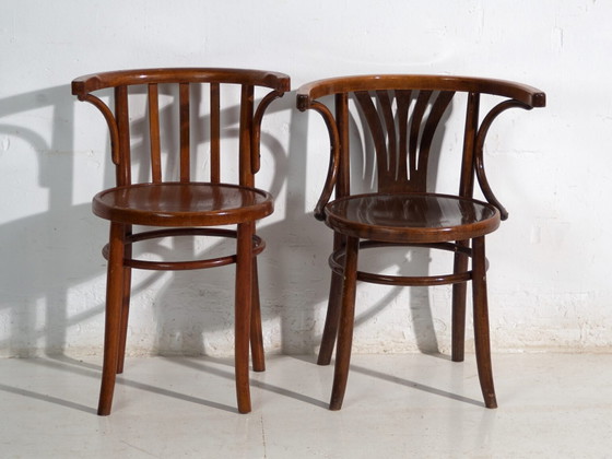 Pair of antique bentwood chairs in the Thonet style – Central Europe, circa 1905 – Dining chairs (photo 26 of 40)