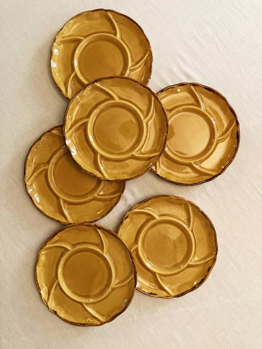 6 piatti divisi, terracotta dell'Alta Provenza