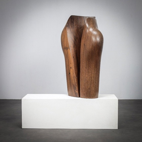 Image 1 of Esculturas de madera orgánica respirando de Ineke van Zuuren, años 70