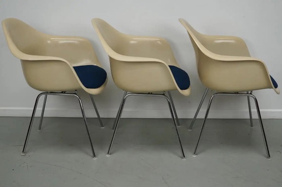 Image 1 of Set di tre poltrone DAX in fibra di vetro color pergamena, Eames per Herman Miller / Vitra