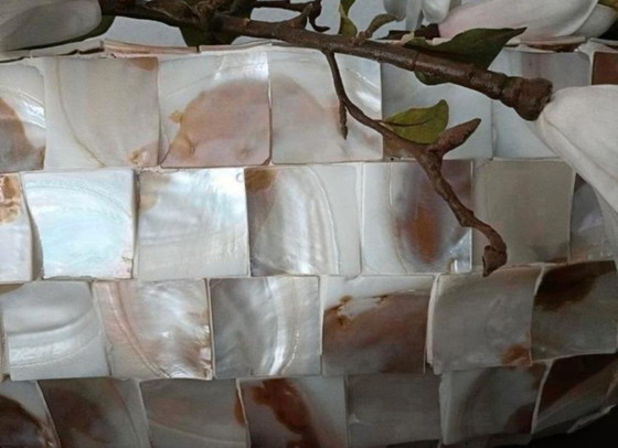 Image 1 of 1 jarrón de concha ovalada y 2 jarrones de concha de nácar con cuencos rotos