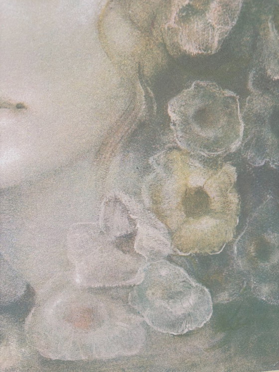 Zeefdruk van Leonor Fini uit de jaren 70, portret van een fronsende vrouw. – Litho's & Zeefdrukken, Paper (photo 7 of 10)
