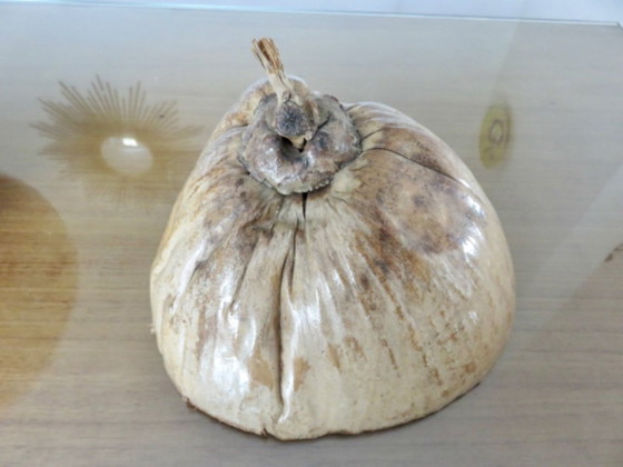 Image 1 of Large ice bucket, ice cube tray, 1970s. Vintage coconut ice bucket
