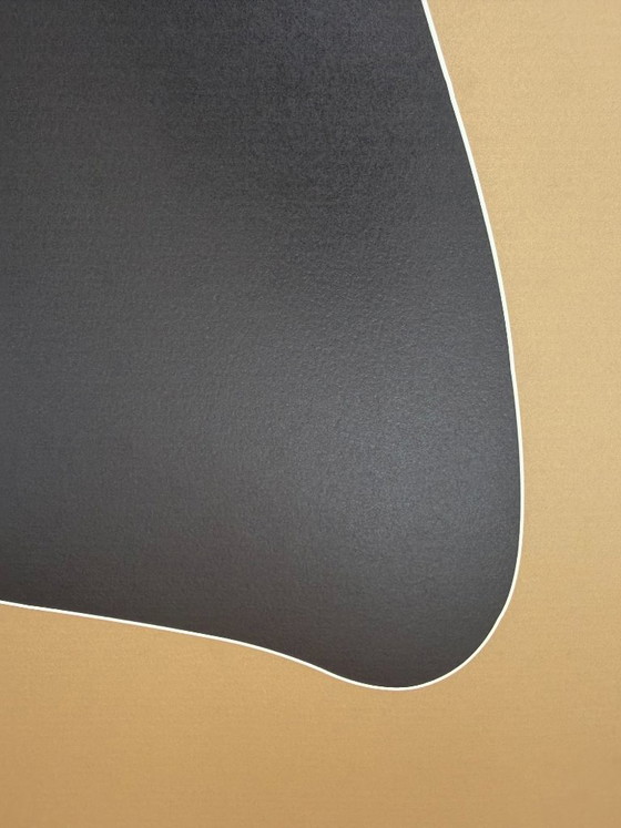 Image 1 of Anne Montiel, Formularios, 2013, Impreso en Bélgica