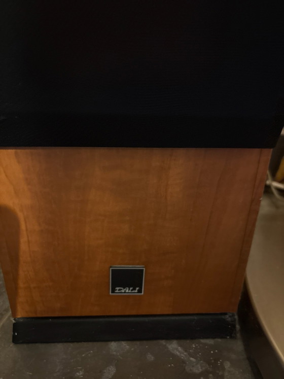 Dali Floor-Standing Speakers, Decorative Objects, Textile, Wood, Black (photo 2 of 5)